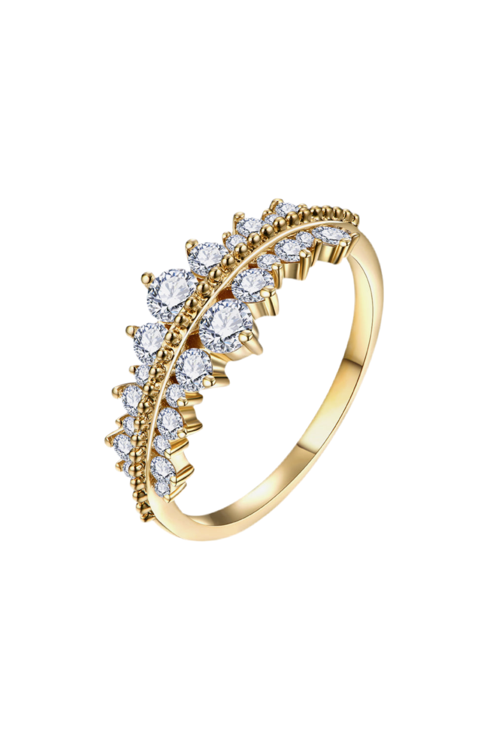 The Michigan Ring