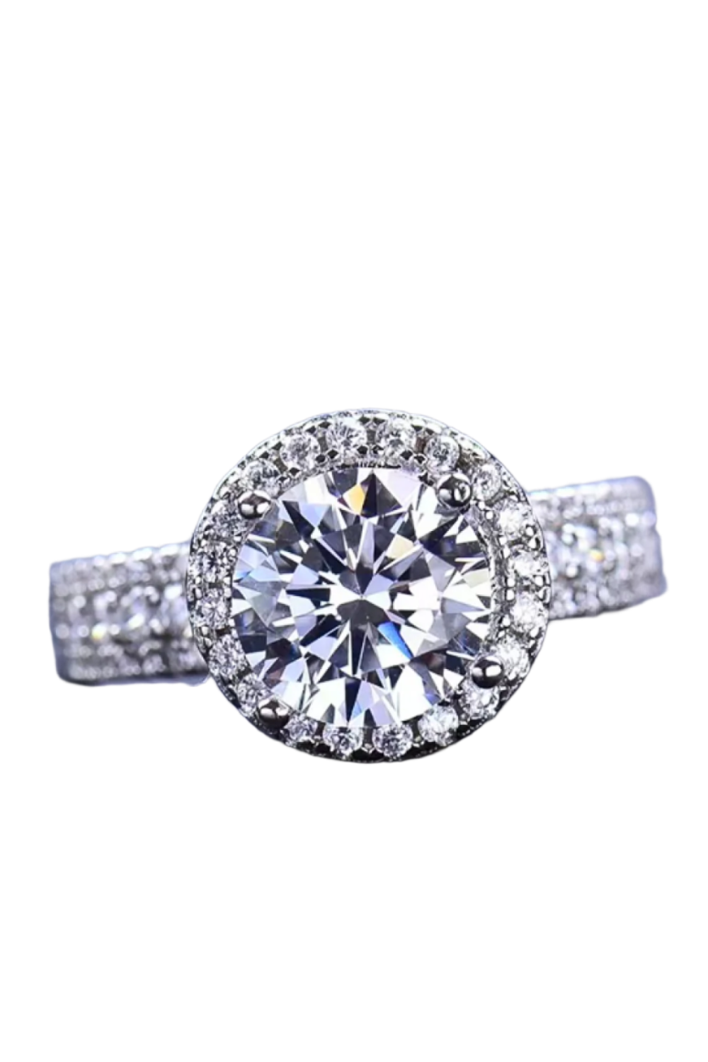 The Everglades Ring